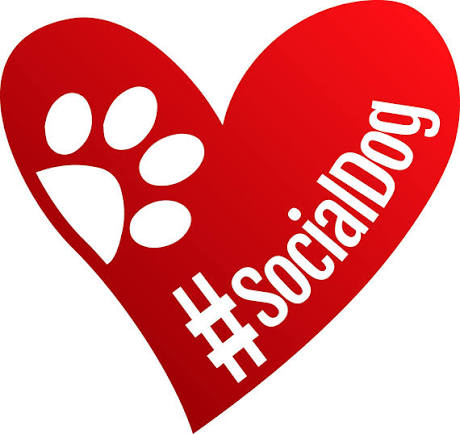 #SocialDog