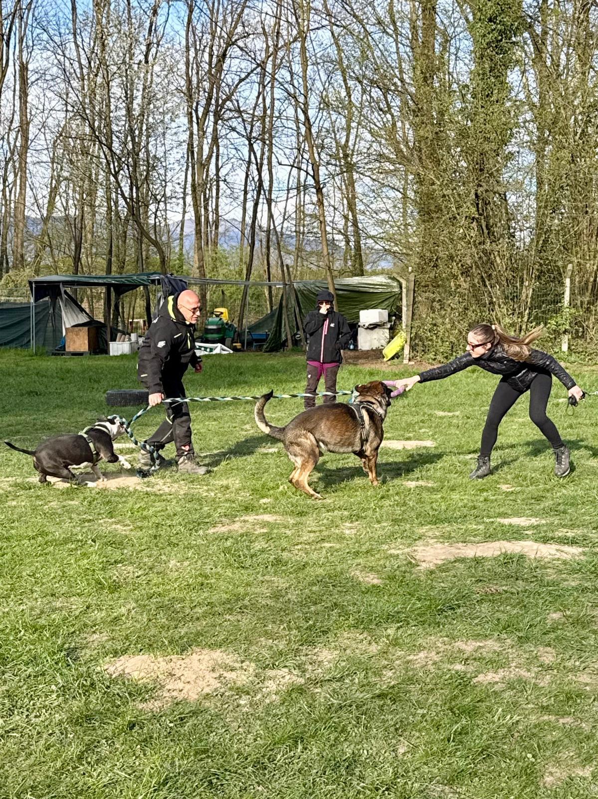 Conduttori e cani durante un’esercitazione