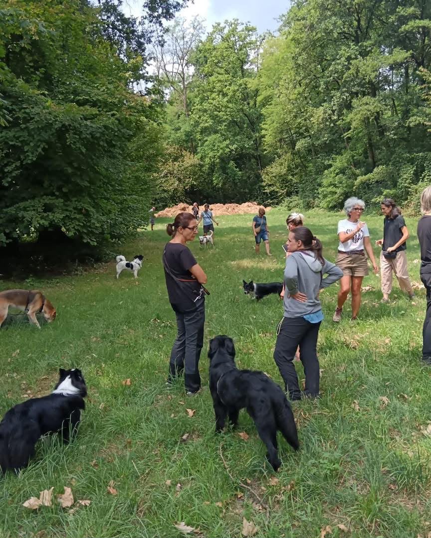 Attività di gruppo in ambiente naturale